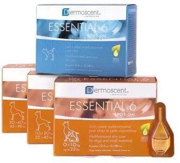 Dermoscent (дермосент) ESSENTIAL-6 - средство по уходу за кожей и шерстью собак 20-40кг 1 пипетка 760013752 фото