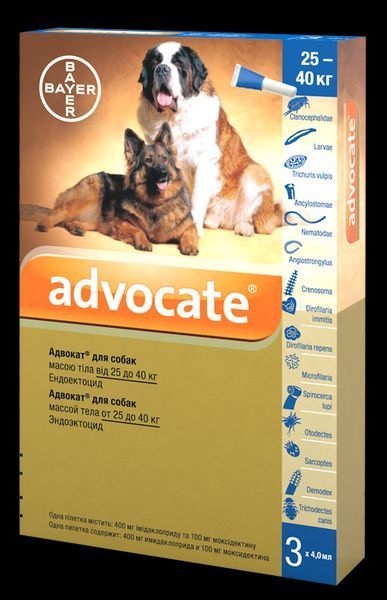 Адвокат Advocate капли для собак весом от 25кг,1 пипетка( Bayer) 11015 фото