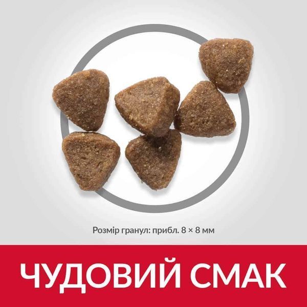 Hill's SCIENCE PLAN Kitten Сухий корм для кошенят і кішок у період вагітності та лактації, з куркою, 7 кг Хилс 604050 фото