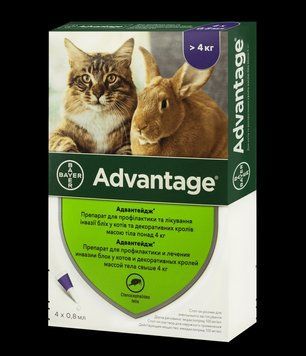 Адвантейдж (Advantage) 80 -более 4кг 4 пипетки 1 упаковка)от блох для кошек и декоративных кроликов 13326 фото