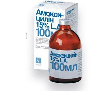 Амоксициллин 15% (Amoxicillin 15%) 250 мл 135733 фото