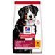 Hill&rsquo;s SCIENCE PLAN Adult Large Breed Сухий корм для дорослих собак великих порід, з куркою, 14 кг Хилс 604387 фото 1