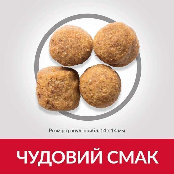 Hill&rsquo;s SCIENCE PLAN Adult Large Breed Сухий корм для дорослих собак великих порід, з ягням і рисом, 14 кг Хилс 607638 фото