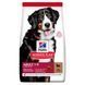 Hill&rsquo;s SCIENCE PLAN Adult Large Breed Сухий корм для дорослих собак великих порід, з ягням і рисом, 14 кг Хилс 607638 фото 1