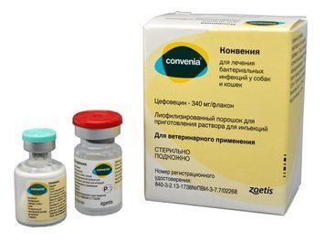 Конвения (Convenia) 4мл 247986 фото