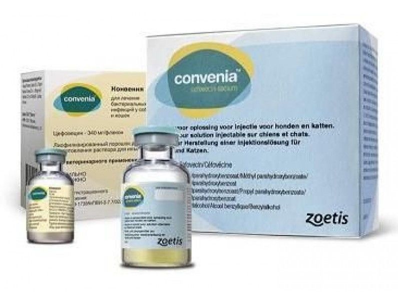 Конвения (Convenia) 4мл 247986 фото