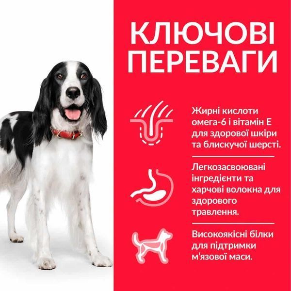 Hills SCIENCE PLAN Adult Medium Breed Сухий корм для дорослих собак серед порід, з тунцем і рисом 12 кг Хилс 604280 фото