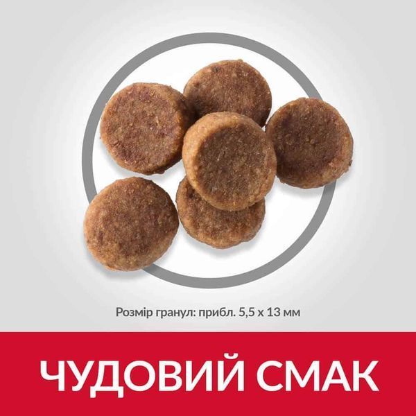 Hill&rsquo;s SCIENCE PLAN Puppy Large Breed Сухий корм для цуценят великих порід, з куркою, 14,5 кг Хилс 604386 фото