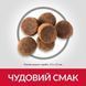 Hill&rsquo;s SCIENCE PLAN Puppy Large Breed Сухий корм для цуценят великих порід, з куркою, 14,5 кг Хилс 604386 фото 3