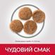 Hill&rsquo;s SCIENCE PLAN Adult Perfect Weight Medium Breed Корм для підтримання ваги дорослих середніх 2кг Хилс 604296 фото 3
