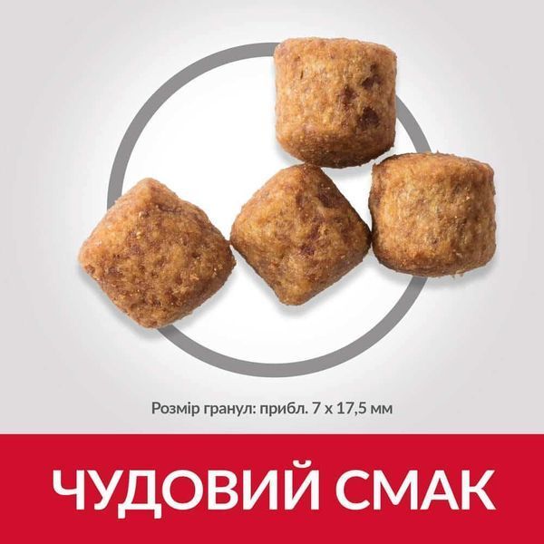 Hills SCIENCE PLAN Mature Adult 6+ Large Breed Сухий корм для зрілих собак великих порід від 6 років 14кг Хилс 604371 фото