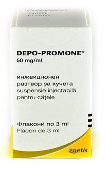 Депо-промон(Depo-Promone) 3 мл - компромисс вместо стерилизации самок собак и кошек 13674 фото
