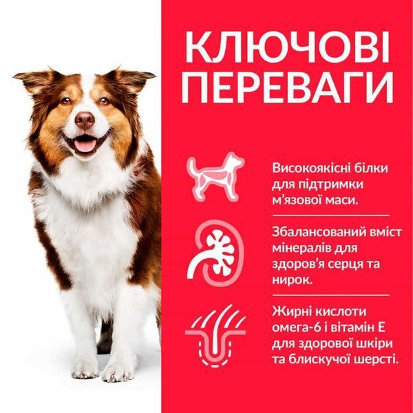 Hill&rsquo;s SCIENCE PLAN Mature Adult 7+ Medium Breed Корм для зрілих собак середніх порід від 7 років, 2,5кг Хилс 604287 фото