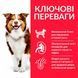 Hill&rsquo;s SCIENCE PLAN Mature Adult 7+ Medium Breed Корм для зрілих собак середніх порід від 7 років, 14кг Хилс 604379 фото 2