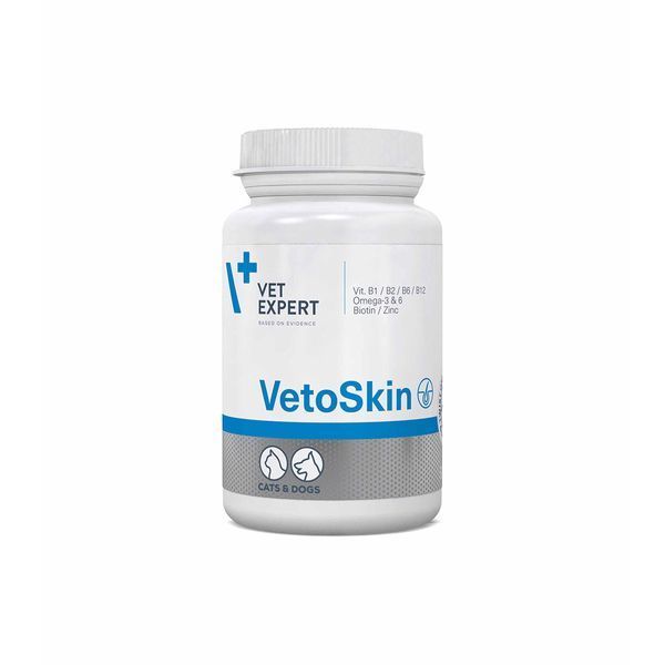 ВетЭксперт Ветоскин 60капсул VetExpert VetoSkin для собак и кошек с дерматологическими нарушениями 58259 фото