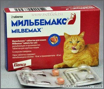 MILBEMAX (МИЛЬБЕМАКС)для котов 2-8кг 2таб Elanco 454540 фото